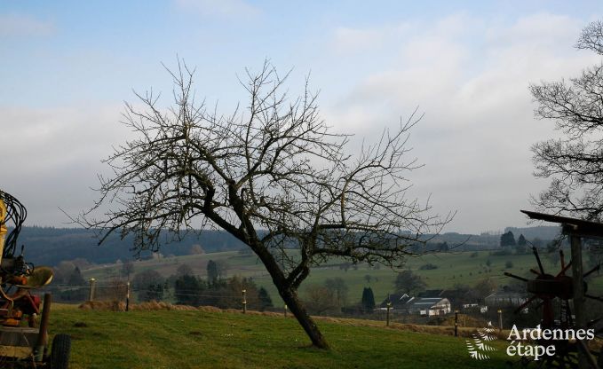 Maison de vacances  Trois-Ponts pour 2/4 personnes en Ardenne