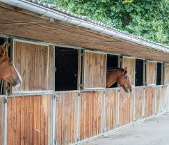 Maison de vacances à Trois-Ponts pour 2/4 personnes en Ardenne