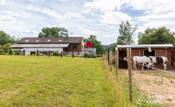 Maison de vacances confortable  Trois-Ponts pour 16 personnes