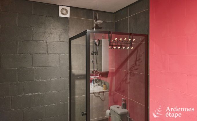 Maison de vacances  Trois-Ponts pour 8 personnes avec sauna, salle de jeux et jardin priv