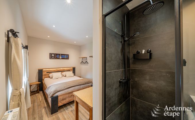 Maison de vacances unique avec 2 chambres  Vaux-sur-Sre