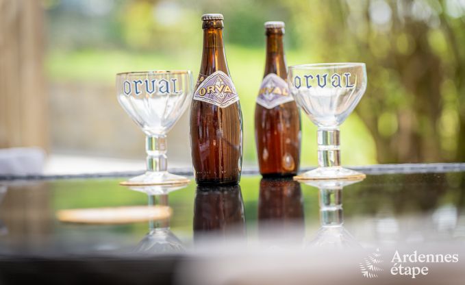 Maison de vacances unique avec 2 chambres  Vaux-sur-Sre