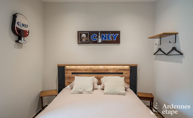 Maison de vacances unique avec 2 chambres  Vaux-sur-Sre