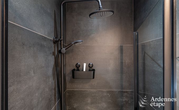 Maison de vacances unique avec 2 chambres  Vaux-sur-Sre