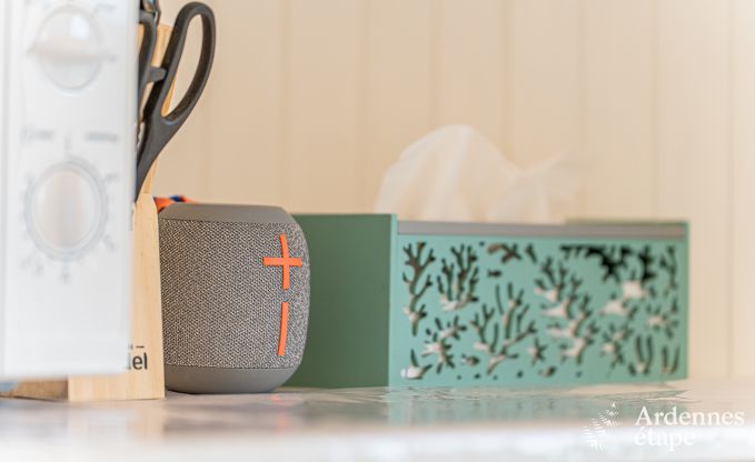 G�te insolite � Vaux-sur-Sure pour 2/4 personnes en Ardenne