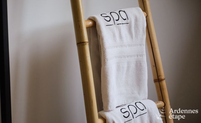 Gte exceptionnel avec superbe centre de wellness et piscine privs  Vaux-sur-Sre