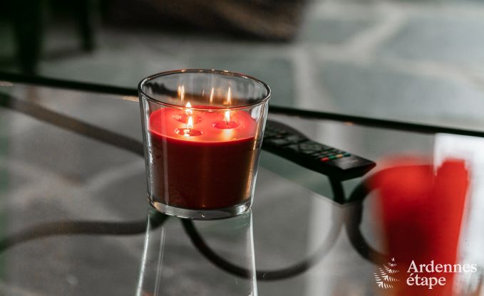 Maison de vacances  Vaux-sur-Sre pour 2/3 personnes en Ardenne