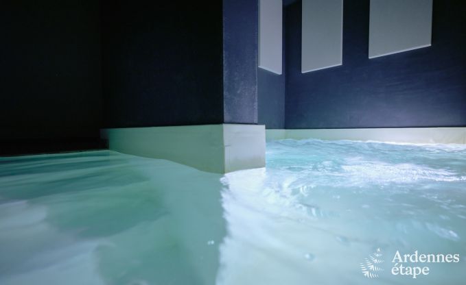 G�te exceptionnel avec superbe centre de wellness et piscine priv�s � Vaux-sur-S�re