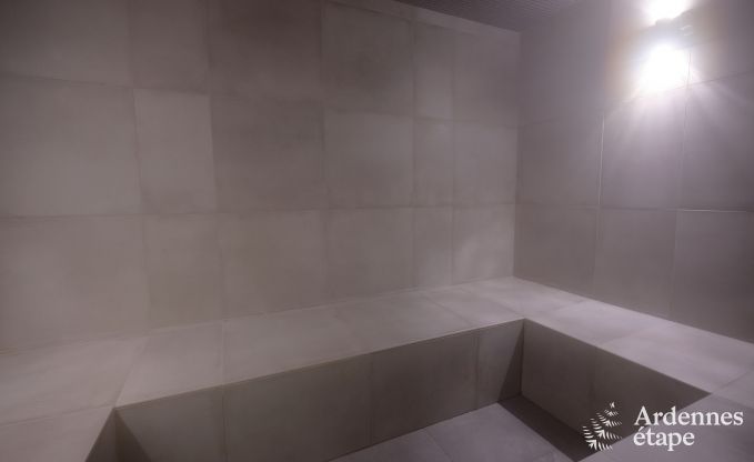 G�te exceptionnel avec superbe centre de wellness et piscine priv�s � Vaux-sur-S�re