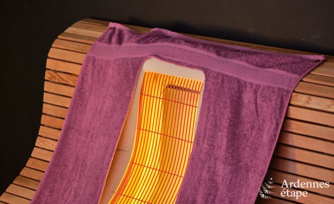 G�te exceptionnel avec superbe centre de wellness et piscine priv�s � Vaux-sur-S�re