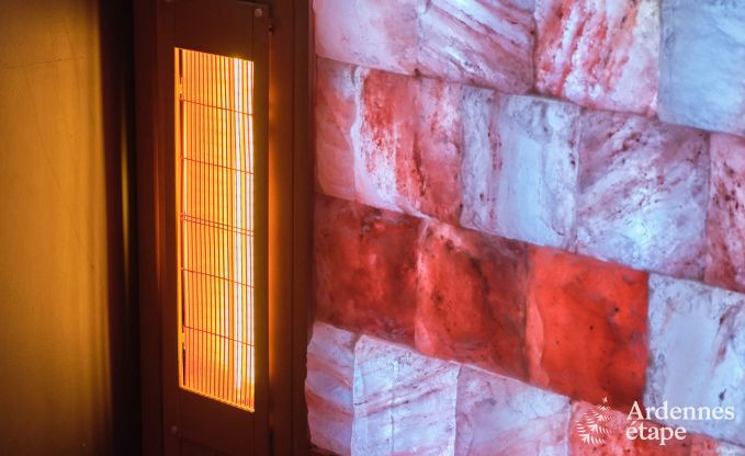 G�te exceptionnel avec superbe centre de wellness et piscine priv�s � Vaux-sur-S�re