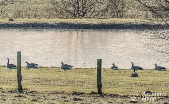 Maison de vacances  Vaux-sur-Sre pour 8 personnes en Ardenne