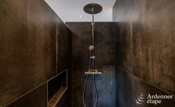 Maison de vacances  Vaux-sur-Sre pour 8 personnes en Ardenne