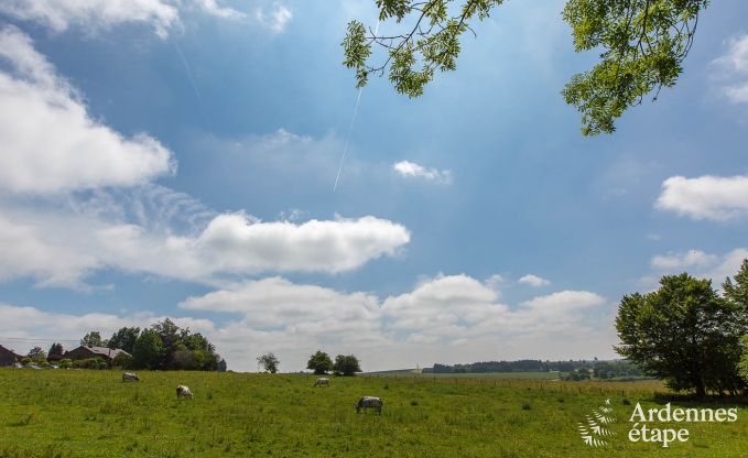 Villa de Luxe  Vaux-sur-Sre pour 6/9 personnes en Ardenne