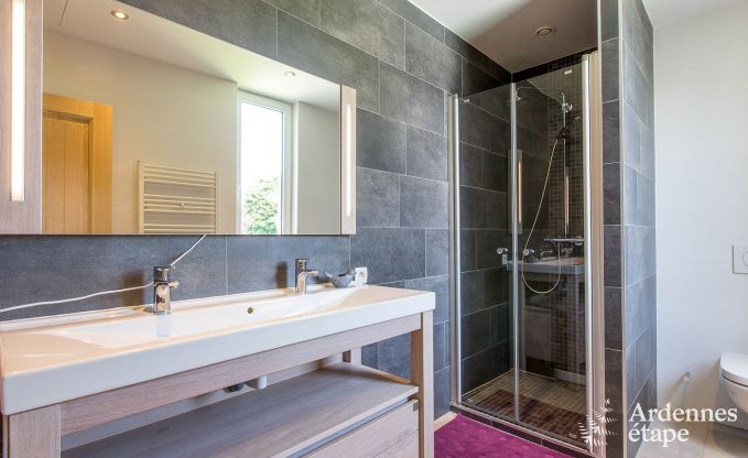 Villa de Luxe  Vaux-sur-Sre pour 6/9 personnes en Ardenne