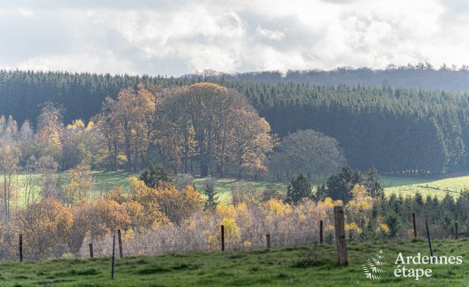 Chalet  Vencimont pour 10 personnes en Ardenne