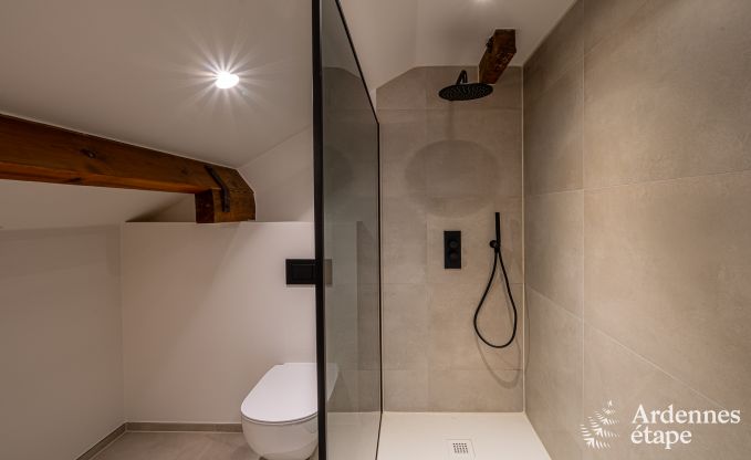 Chalet avec bain nordique, billard et une vue magnifique � Vencimont pour 6 personnes