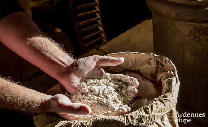 Maison de vacances � Vencimont pour 8 personnes en Ardenne