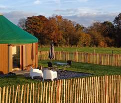 Séjour insolite dans un yourte unique à Vielsalm : entouré de prairies, avec jardin, lits faits et 1 chien