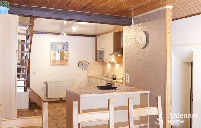 Grande maison de vacances prs de Vielsalm pour 21 personnes avec 7 chambres, 4 salles de bains, salle de jeux et jardin priv
