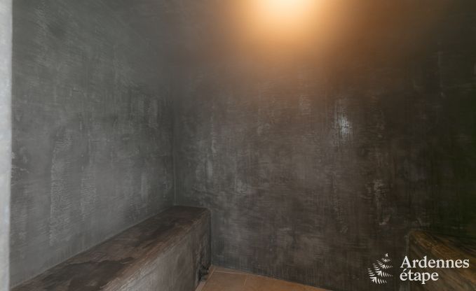 Villa de Luxe  Vielsalm pour 7/8 personnes en Ardenne