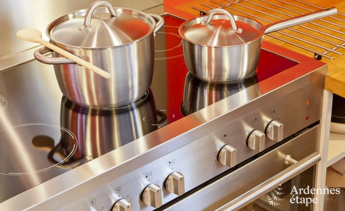 Villa de Luxe  Vielsalm pour 17/18 personnes en Ardenne