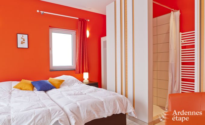 Villa de Luxe  Vielsalm pour 17/18 personnes en Ardenne