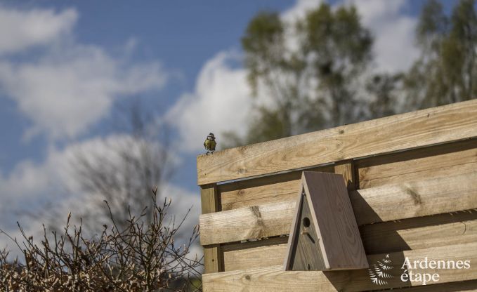 Maison de vacances  Vielsalm pour 2 personnes en Ardenne
