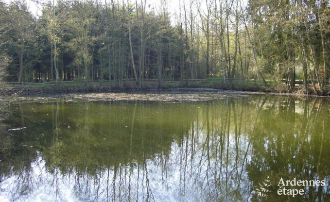 Maison de vacances � Vielsalm pour 4/5 personnes en Ardenne