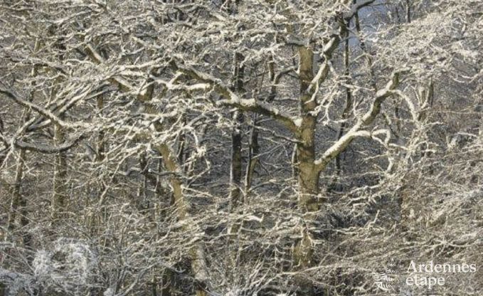 Maison de vacances � Vielsalm pour 4/5 personnes en Ardenne