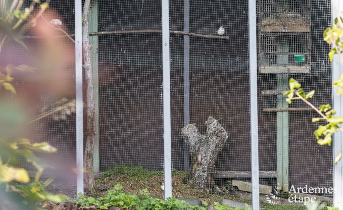 Maison de vacances confortable avec jardin priv  pittoresque Vierves-sur-Viroin pour 4 personnes