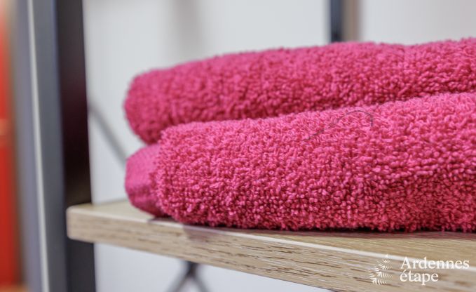 Maison de vacances  Vierves-sur-Viroin pour 18/20 personnes en Ardenne