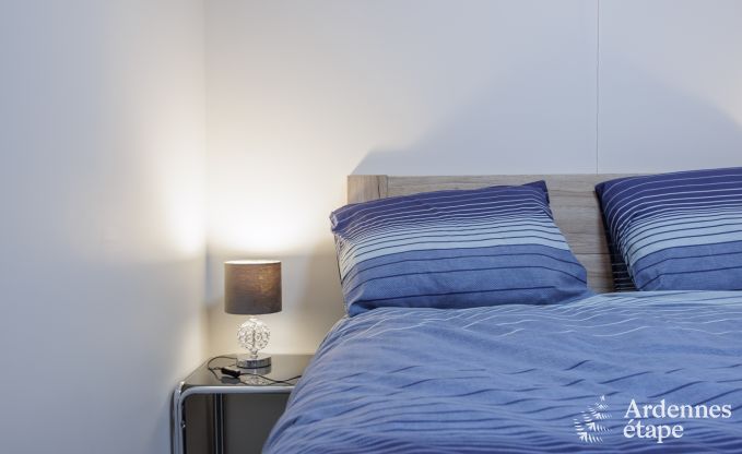 Maison de vacances  Vierves-sur-Viroin pour 18/20 personnes en Ardenne