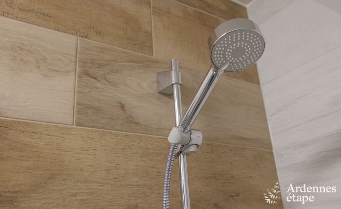 Maison de vacances  Vierves-sur-Viroin pour 18/20 personnes en Ardenne