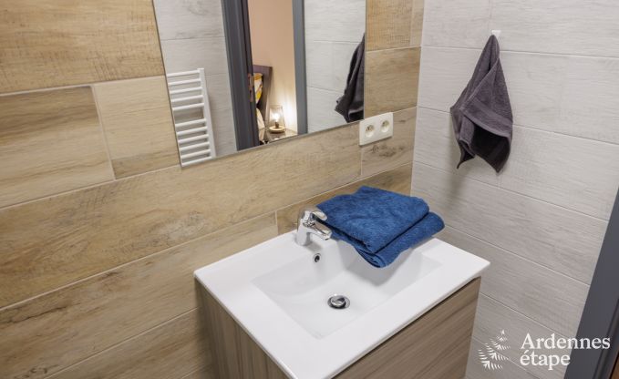 Maison de vacances  Vierves-sur-Viroin pour 18/20 personnes en Ardenne