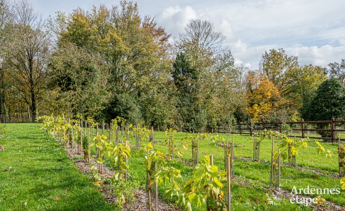 Maison de vacances  Villers-en-Fagne pour 2 personnes en Ardenne