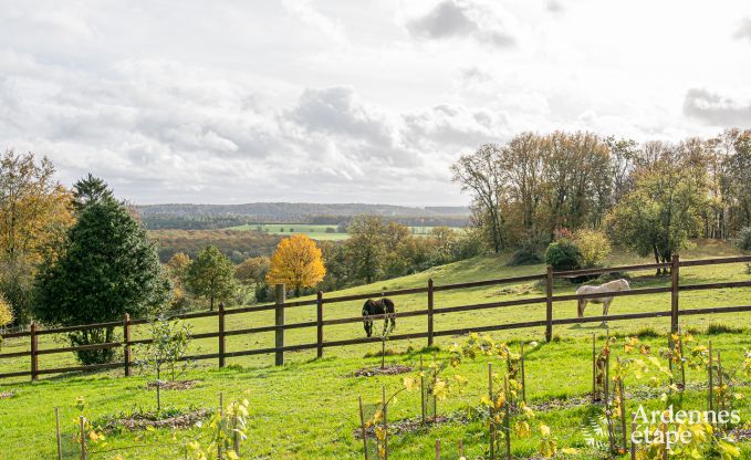 Sjour inoubliable  Villers-en-Fagne : Maison de vacances avec sauna, jacuzzi et vue imprenable en Ardenne