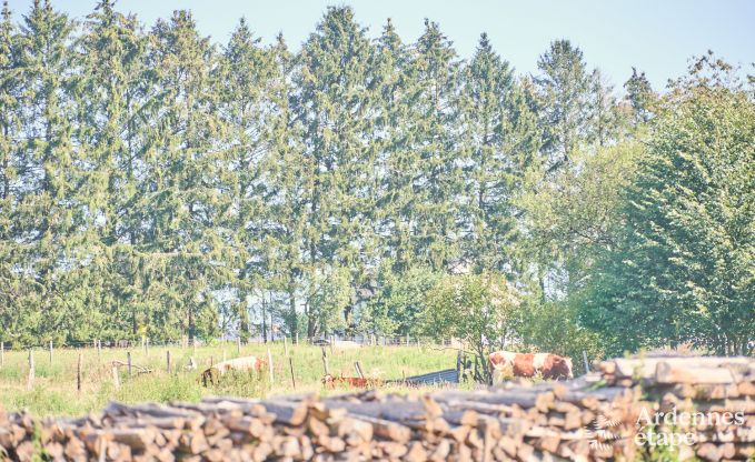 Maison de vacances  Virton pour 4 personnes en Ardenne