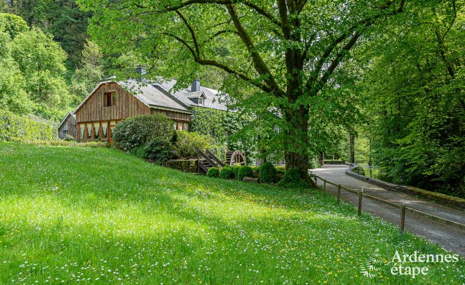 Maison de vacances de luxe pour grands groupes  Vresse-sur-Semois, Ardenne