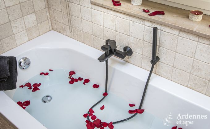 Maison de vacances � Vresse-sur-Semois pour 15 personnes en Ardenne