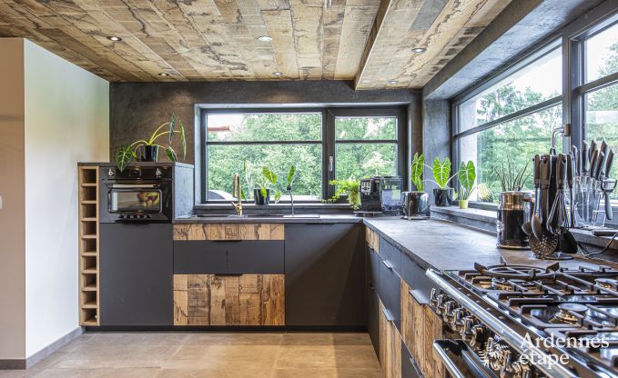 Villa de Luxe � Vresse-sur-semois pour 15 personnes en Ardenne