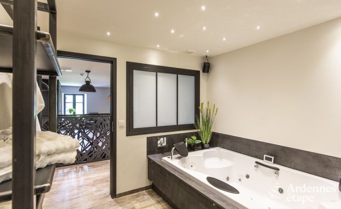 Villa de Luxe � Vresse-sur-semois pour 15 personnes en Ardenne