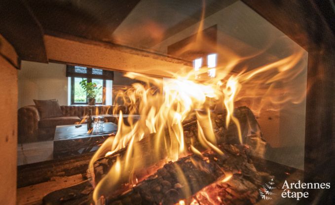 Villa de Luxe � Vresse-sur-semois pour 15 personnes en Ardenne