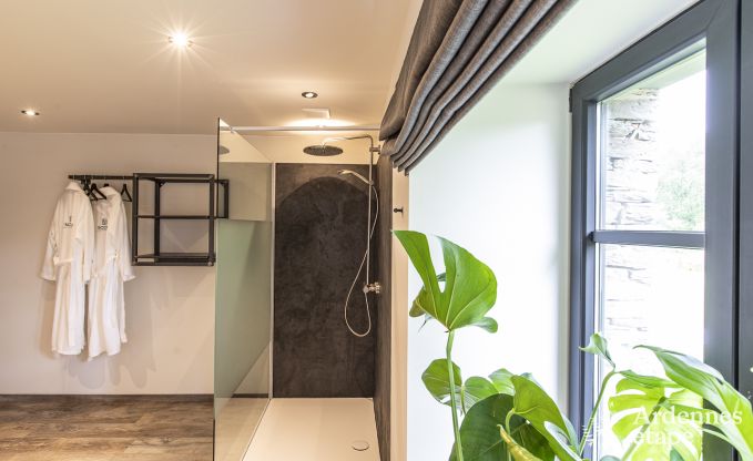 Villa de Luxe � Vresse-sur-semois pour 15 personnes en Ardenne