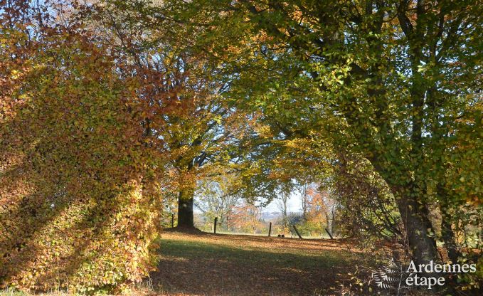 Maison de vacances  Waimes pour 8 personnes en Ardenne