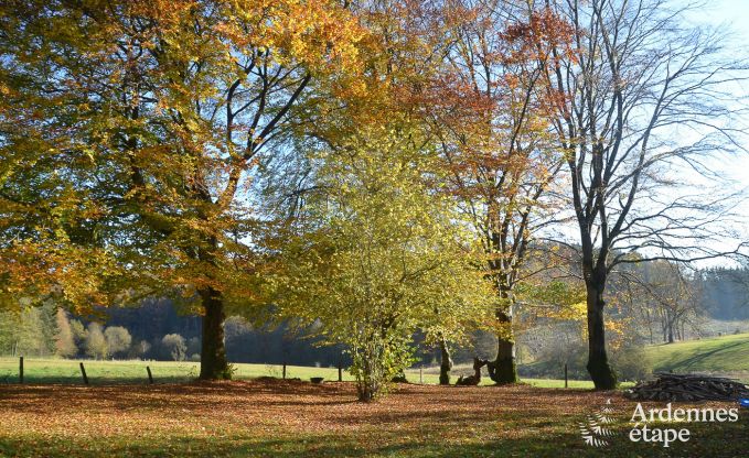 Maison de vacances  Waimes pour 8 personnes en Ardenne