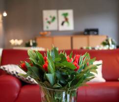 Maison de vacances à Waimes pour 22 personnes en Ardenne