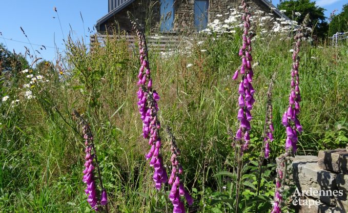 Maison de vacances  Waimes pour 8 personnes en Ardenne