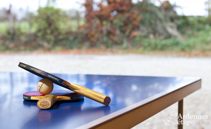 Villa de Luxe  Waimes pour 16 personnes en Ardenne