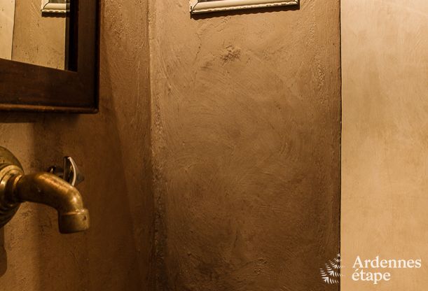 Chalet  Waimes pour 23 personnes en Ardenne